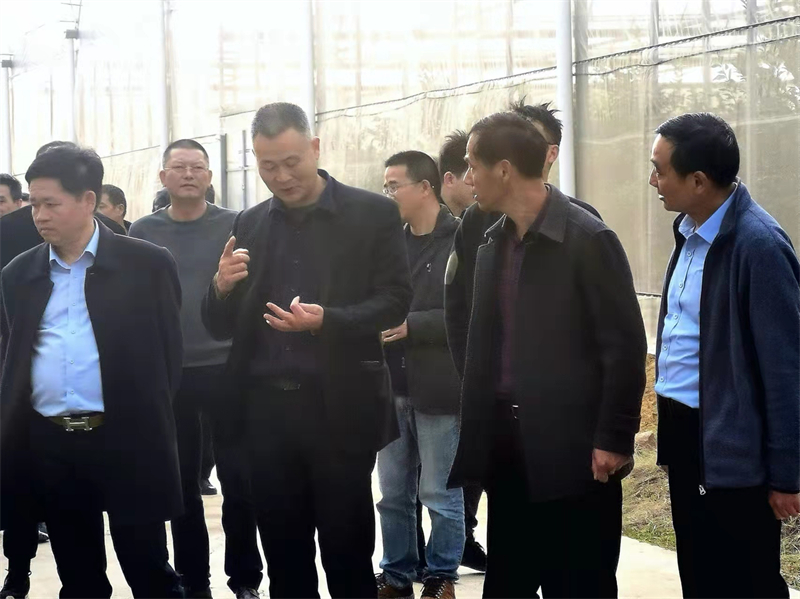 佳农股份学习合影2-两董事长.jpg