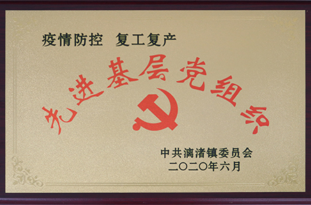 2020年疫情防控先进基层党组织