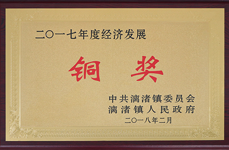 漓渚镇2017年度经济发展铜奖