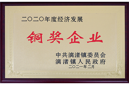 漓渚镇2020年度经济发展铜奖